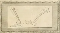 An illustration from Traitté de la peintvre (1651)