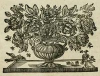 An illustration from [Traité universel des drogues simples : mises en ordre alphabetique : où l'on trouve leurs differens noms, leur origine, leur choix, les principes qu'elles renferment, leurs qualitez, leur ethymologie, & tout ce qu'il y a de particulier dans les animaux, dans les vegetaux & dans les mineraux : ouvrage dépendant de la Pharmacopée universelle (1698)