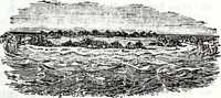 An illustration from Transactions of the Shropshire Archaeological and Natural History Society (1885)