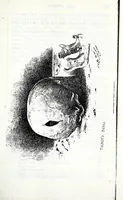 Picture 14 of 19 from Transactions of the Shropshire Archaeological and Natural History Society (1885), leaf 906
