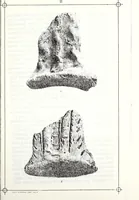 An illustration from Transactions of the Shropshire Archaeological and Natural History Society (1888)