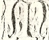 An illustration from Transactions of the Shropshire Archaeological and Natural History Society (1878)