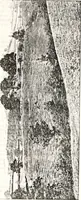 An illustration from Transactions of the Shropshire Archaeological and Natural History Society (1878)