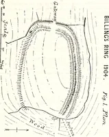 An illustration from Transactions of the Shropshire Archaeological and Natural History Society (1878)