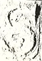 Picture 4 of 37 from Transactions of the Shropshire Archaeological and Natural History Society (1878), leaf 72