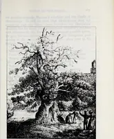 An illustration from Transactions of the Shropshire Archaeological and Natural History Society (1903)