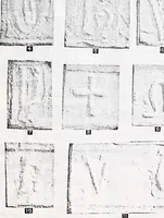 An illustration from Transactions of the Shropshire Archaeological and Natural History Society (1904)