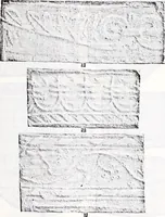 Picture 5 of 19 from Transactions of the Shropshire Archaeological and Natural History Society (1904), leaf 194