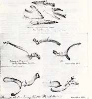An illustration from Transactions of the Shropshire Archaeological and Natural History Society (1904)