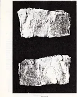 An illustration from Transactions of the Shropshire Archaeological and Natural History Society (1905)