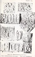 Picture 3 of 29 from Transactions of the Shropshire Archaeological and Natural History Society (1907), leaf 76
