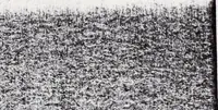 An illustration from Transactions of the Shropshire Archaeological and Natural History Society (1920)