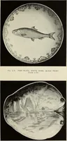Picture 32 of 53 from Transfer printing on enamels, porcelain and pottery : its origin and development in the United Kingdom (1907), leaf 164