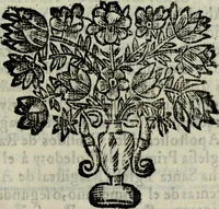 An illustration from Tratado de medias annatas de los beneficios, prestamos, y capellanias, &c (1698)