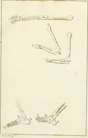 An illustration from El tratado de la pintura (1784)