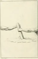 Picture 23 of 48 from El tratado de la pintura (1784), leaf 177
