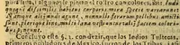 An illustration from Tratado vnico, y singular del origen de los indios occidentales del Piru, Mexico, Santa Fè, y Chile.. (1681)
