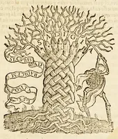 Picture 2 of 11 from Tratos y contratos de mercaderes y tratantes discididos y determinados, (1569), leaf 7
