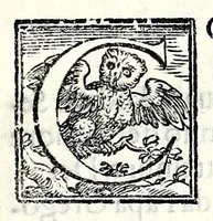 Picture 9 of 64 from Trattato de gli huomini illvstri di Bologna : diviso in tre parti : nella prima parte si contegono i prelati, nella seconda i titolari, & nella terza i dottori, i caualieri, i capitani, et il senato (1590), leaf 33