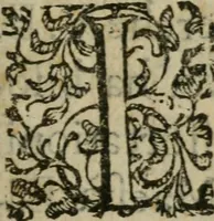 An illustration from Trattato del giubileo dell'anno santo, e de gl' altri giubilei (1624)