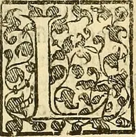 An illustration from Trattato della natura de'cibi et del bere / del sig. Baldassare Pisanelli, medico Bolognese (1586)