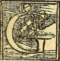 An illustration from Trattato della natura de'cibi et del bere / del sig. Baldassare Pisanelli, medico Bolognese (1586)