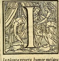 Picture 23 of 95 from Trattato della natura de'cibi et del bere / del sig. Baldassare Pisanelli, medico Bolognese (1586), leaf 62