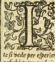 An illustration from Trattato della natura de'cibi et del bere / del sig. Baldassare Pisanelli, medico Bolognese (1586)