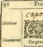 An illustration from Trattato della natura de'cibi et del bere / del sig. Baldassare Pisanelli, medico Bolognese (1586)
