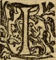 Picture 8 of 10 from Trattato della pittura e scultura, uso et abuso loro (1652), leaf 293