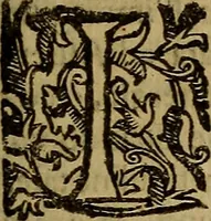 Picture 7 of 10 from Trattato della pittura e scultura, uso et abuso loro (1652), leaf 48
