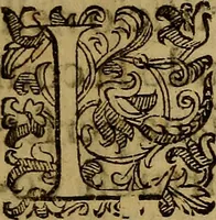 An illustration from Trattato della pittura e scultura, uso et abuso loro (1652)