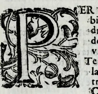 An illustration from Trattato dell' artiglieria (1672)