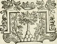 An illustration from Trattato del legno fossile minerale nuouamente scoperto : nel quale breuemente si accenna la varia & mutabil natura di detto legno, rappresentatoui con alcune figure, che mostrano il luogo doue nasce, la diuersità dell'onde che in esso si vedono, e le sue così varie e marauigliose forme (1637)