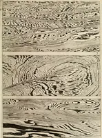 Picture 7 of 16 from Trattato del legno fossile minerale nuouamente scoperto : nel quale breuemente si accenna la varia & mutabil natura di detto legno, rappresentatoui con alcune figure, che mostrano il luogo doue nasce, la diuersità dell'onde che in esso si vedono, e le sue così varie e marauigliose forme (1637), leaf 20
