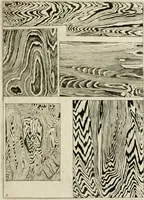 An illustration from Trattato del legno fossile minerale nuouamente scoperto : nel quale breuemente si accenna la varia & mutabil natura di detto legno, rappresentatoui con alcune figure, che mostrano il luogo doue nasce, la diuersità dell'onde che in esso si vedono, e le sue così varie e marauigliose forme (1637)
