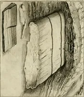 An illustration from Trattato del legno fossile minerale nuouamente scoperto : nel quale breuemente si accenna la varia & mutabil natura di detto legno, rappresentatoui con alcune figure, che mostrano il luogo doue nasce, la diuersità dell'onde che in esso si vedono, e le sue così varie e marauigliose forme (1637)