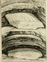 Picture 11 of 16 from Trattato del legno fossile minerale nuouamente scoperto : nel quale breuemente si accenna la varia & mutabil natura di detto legno, rappresentatoui con alcune figure, che mostrano il luogo doue nasce, la diuersità dell'onde che in esso si vedono, e le sue così varie e marauigliose forme (1637), leaf 30