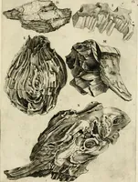 An illustration from Trattato del legno fossile minerale nuouamente scoperto : nel quale breuemente si accenna la varia & mutabil natura di detto legno, rappresentatoui con alcune figure, che mostrano il luogo doue nasce, la diuersità dell'onde che in esso si vedono, e le sue così varie e marauigliose forme (1637)