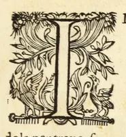 An illustration from Trattato delle piante & immagini de sacri edifizi di Terra Santa : disegnate in Ierusalemme secondo le regole della prospettiua, & uera misura della lor grandezza (1620)
