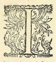 Picture 27 of 54 from Trattato delle piante & immagini de sacri edifizi di Terra Santa (1620), leaf 101