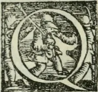 An illustration from Trattato dell'imbrigliare, maneggiare, et ferrare cavalli : diviso in tre parti, con alcvni discorsi sopra la natura di caualli, con disegni di briglie, maneggi, & di caualieri a cauallo, & de ferri d'esso (1556)