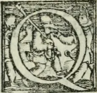 An illustration from Trattato dell'imbrigliare, maneggiare, et ferrare cavalli : diviso in tre parti, con alcvni discorsi sopra la natura di caualli, con disegni di briglie, maneggi, & di caualieri a cauallo, & de ferri d'esso (1556)