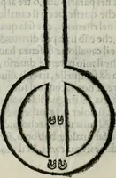 An illustration from Trattato dell'imbrigliare, maneggiare, et ferrare cavalli : diviso in tre parti, con alcvni discorsi sopra la natura di caualli, con disegni di briglie, maneggi, & di caualieri a cauallo, & de ferri d'esso (1556)