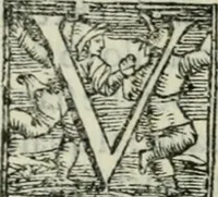 An illustration from Trattato dell'imbrigliare, maneggiare, et ferrare cavalli : diviso in tre parti, con alcvni discorsi sopra la natura di caualli, con disegni di briglie, maneggi, & di caualieri a cauallo, & de ferri d'esso (1556)