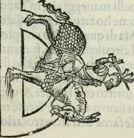 An illustration from Trattato dell'imbrigliare, maneggiare, et ferrare cavalli : diviso in tre parti, con alcvni discorsi sopra la natura di caualli, con disegni di briglie, maneggi, & di caualieri a cauallo, & de ferri d'esso (1556)