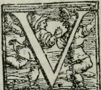 An illustration from Trattato dell'imbrigliare, maneggiare, et ferrare cavalli : diviso in tre parti, con alcvni discorsi sopra la natura di caualli, con disegni di briglie, maneggi, & di caualieri a cauallo, & de ferri d'esso (1556)