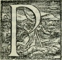 An illustration from Trattato dell'imbrigliare, maneggiare, et ferrare cavalli : diviso in tre parti, con alcvni discorsi sopra la natura di caualli, con disegni di briglie, maneggi, & di caualieri a cauallo, & de ferri d'esso (1556)