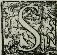 An illustration from Trattato dell'imbrigliare, maneggiare, et ferrare cavalli : diviso in tre parti, con alcvni discorsi sopra la natura di caualli, con disegni di briglie, maneggi, & di caualieri a cauallo, & de ferri d'esso (1556)