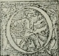 An illustration from Trattato dell'imbrigliare, maneggiare, et ferrare cavalli : diviso in tre parti, con alcvni discorsi sopra la natura di caualli, con disegni di briglie, maneggi, & di caualieri a cauallo, & de ferri d'esso (1556)